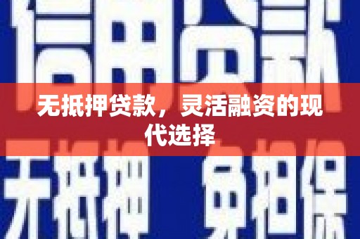 阳信无抵押贷款，灵活融资的现代选择