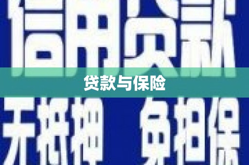 阳信贷款与保险