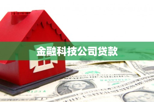 阳信金融科技公司贷款