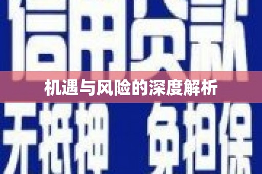 阳信机遇与风险的深度解析