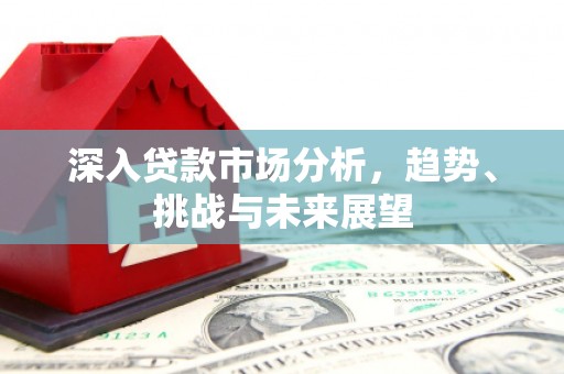 阳信深入贷款市场分析，趋势、挑战与未来展望