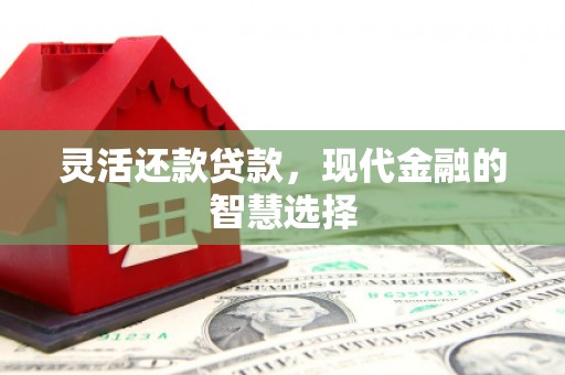 阳信灵活还款贷款，现代金融的智慧选择