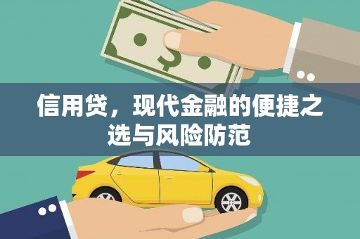 阳信信用贷，现代金融的便捷之选与风险防范