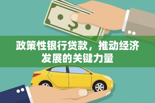 阳信政策性银行贷款，推动经济发展的关键力量