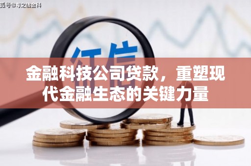 阳信金融科技公司贷款，重塑现代金融生态的关键力量