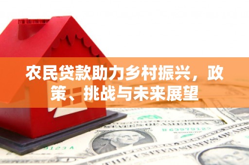 阳信农民贷款助力乡村振兴，政策、挑战与未来展望