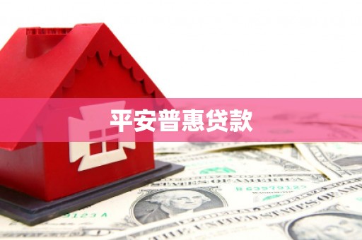 阳信平安普惠贷款