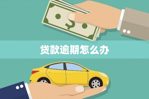 阳信贷款逾期怎么办