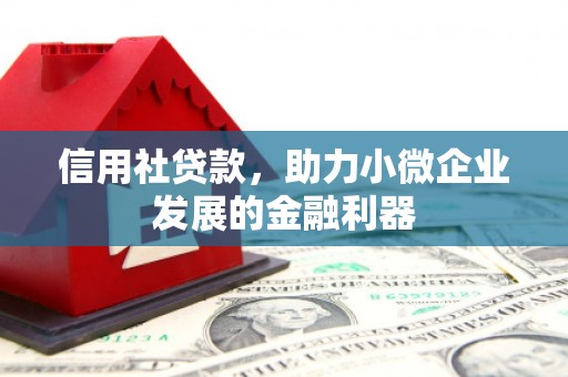 阳信信用社贷款，助力小微企业发展的金融利器