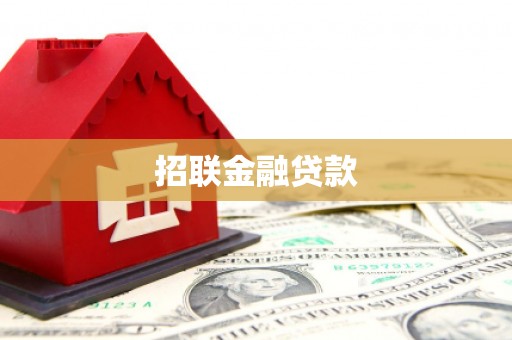 阳信招联金融贷款