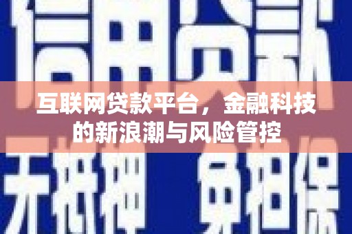 阳信互联网贷款平台，金融科技的新浪潮与风险管控