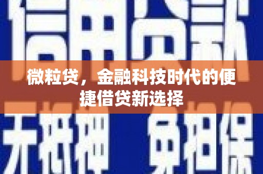 阳信微粒贷，金融科技时代的便捷借贷新选择