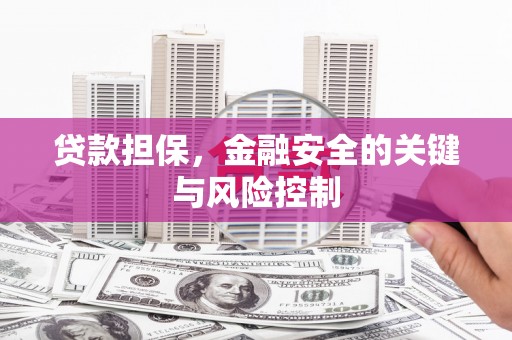 阳信贷款担保，金融安全的关键与风险控制