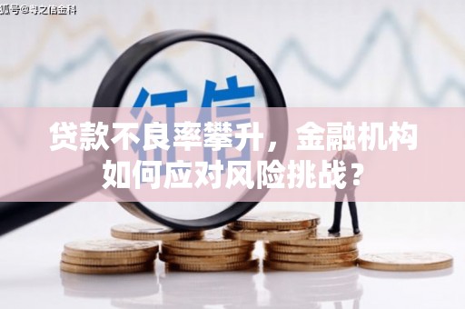 阳信贷款不良率攀升，金融机构如何应对风险挑战？