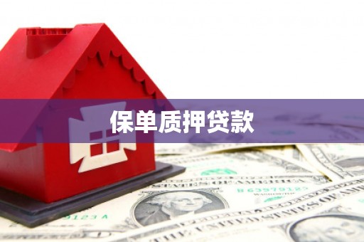 阳信保单质押贷款