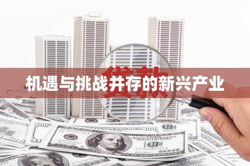 阳信机遇与挑战并存的新兴产业