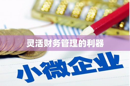 阳信灵活财务管理的利器