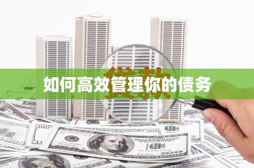 阳信如何高效管理你的债务