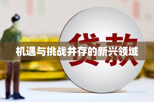 阳信机遇与挑战并存的新兴领域