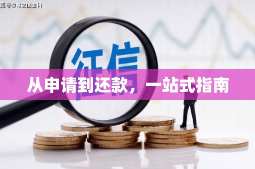 阳信从申请到还款，一站式指南