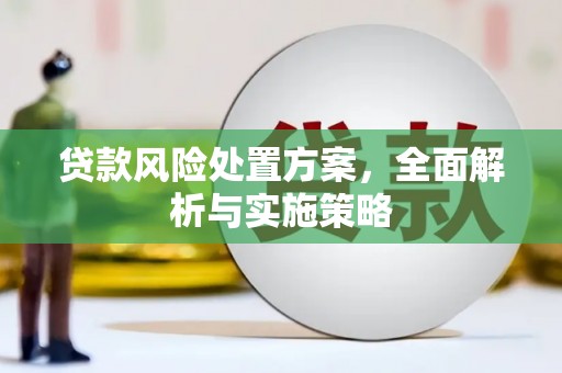 阳信贷款风险处置方案，全面解析与实施策略