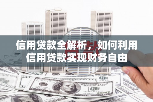 阳信信用贷款全解析，如何利用信用贷款实现财务自由