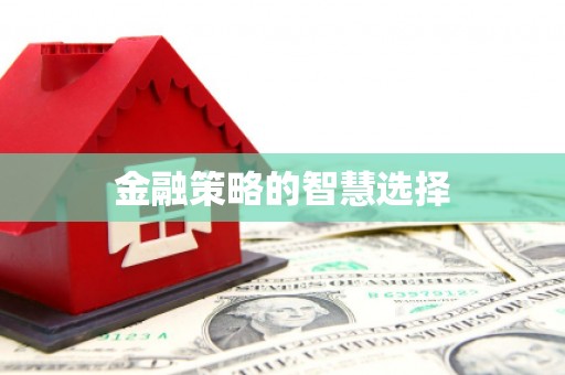 阳信金融策略的智慧选择