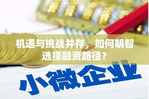 阳信机遇与挑战并存，如何明智选择融资路径？