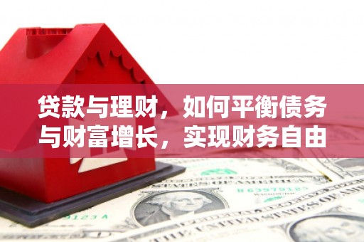 阳信贷款与理财，如何平衡债务与财富增长，实现财务自由