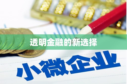 阳信透明金融的新选择
